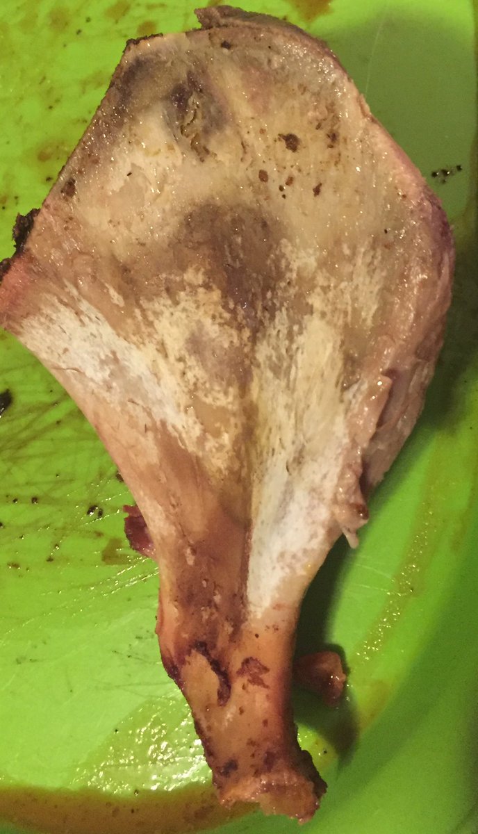 shawn_clounch's tweet photo. I think the date was a success but as you can tell by the clean bone there probably won’t be a second @TraegerGrills #cleanbone https://t.co/O8ju4Hf1x3