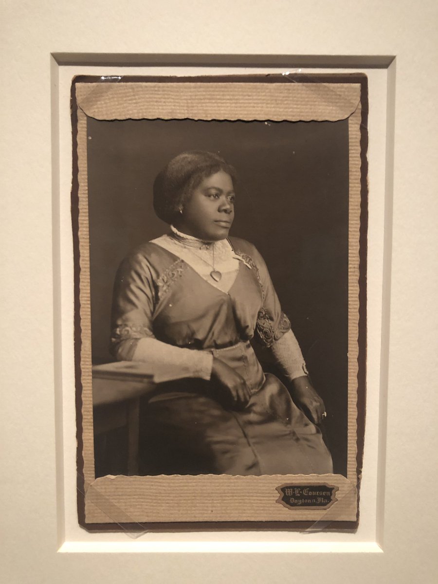 Earlier histories of suffrage tend to overlook the work of African Americans & other women of color. Leading up to the centennial of the 19th Amendment, “Votes for Women” seeks to tell a more complete story—including that of #MaryMcLeodBethune. #myNPG #BecauseOfHerStory