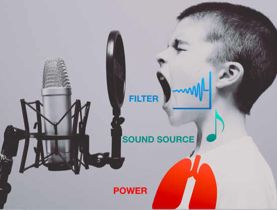 Basic physiology is the key to developing a stronger and healthier voice! #voicecoach