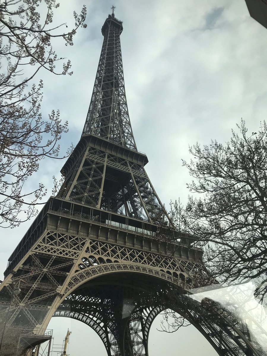 Elyse Hoffman tweet media