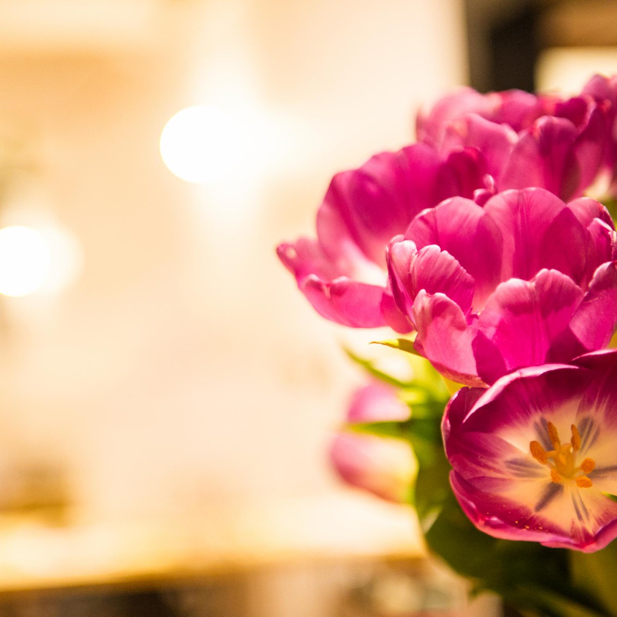 Anomaly_MTL's tweet image. Dreaming of summer days 💭💚🌱
Organize your next event in our bright and sunny space!
_______
L&apos;été nous fait rêver 💭💚🌱
Organisez votre prochain événement dans notre espace ensoleillé !

#AnomalyMtl #Plotlylife #Montreal #Tech #Canada #MTL #MTLTech