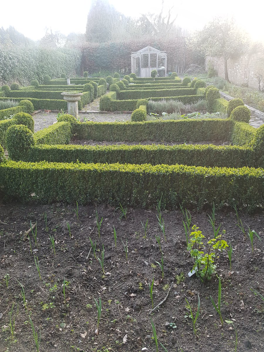 CrisDext's tweet photo. This is for you @kgimson the #kitchengarden today at Longclose #Woodhouseeaves  #greenhouse #growyourown https://t.co/LtZExUTPxe