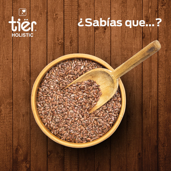 tierholistic's tweet photo. La linaza está presente en los súper ingredientes de #TierHolistic, contiene una alta cantidad de fibra dietética que ayuda a controlar el sobrepeso y a regular el apetito de tu mejor amigo. https://t.co/hNTtlL9qFC