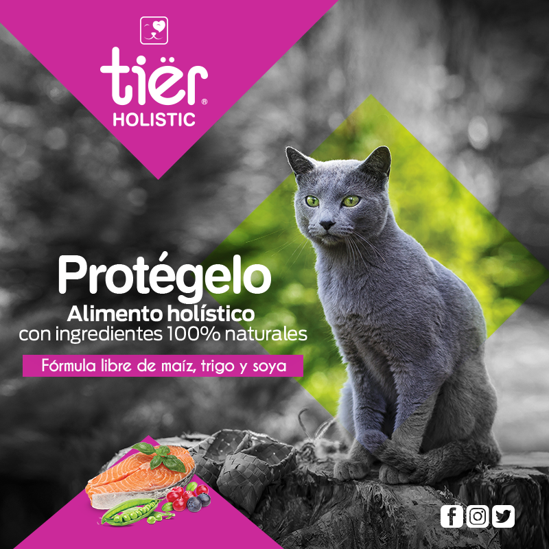 tierholistic's tweet photo. Protege la alimentación de tu mascota con #TierHolistic, el mejor alimento balanceado en ingredientes naturales. https://t.co/FBoh2IDGHC