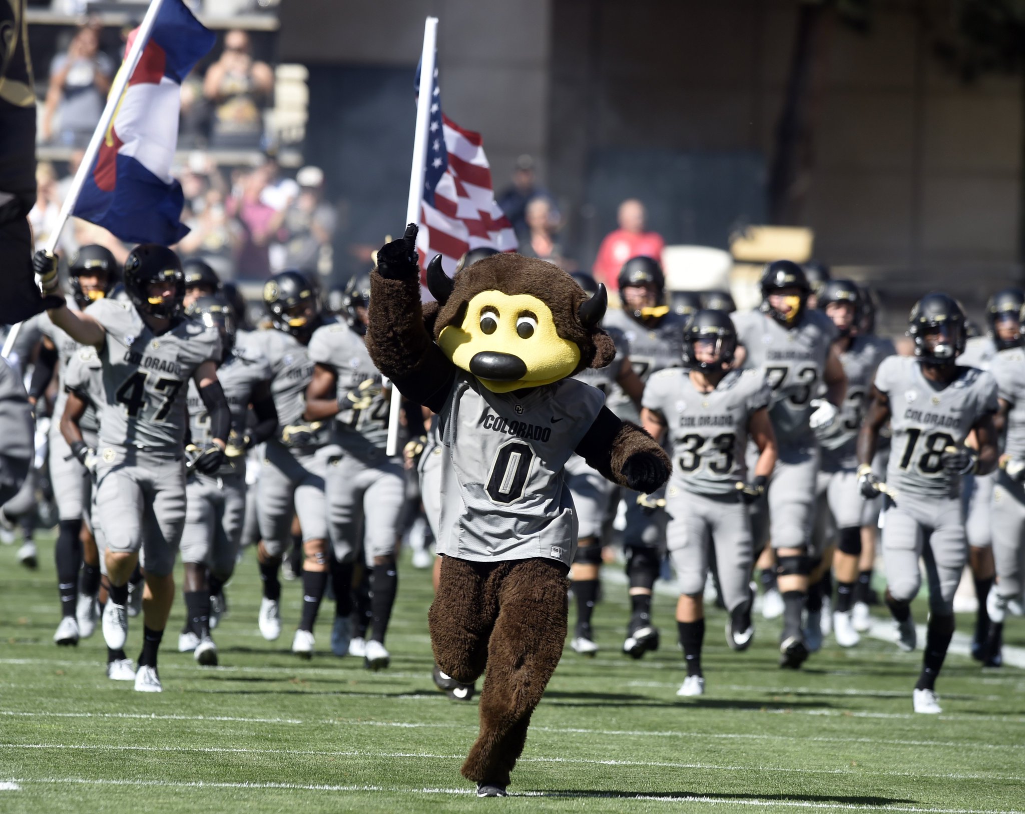 colorado buffaloes fan shop