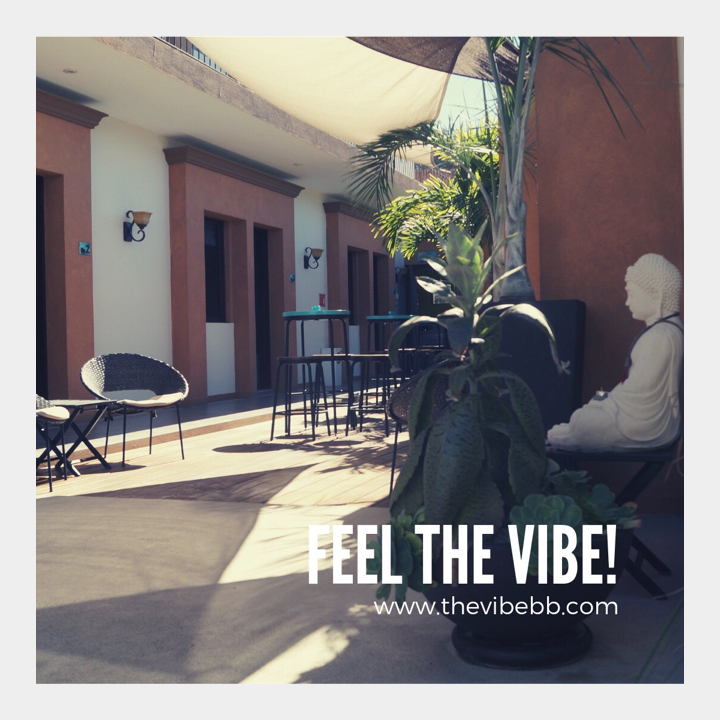 thevibebb's tweet photo. Sunny Thursday at Todos Santos ☀️
Visit us this Spring break and start feeling The Vibe! 
https://t.co/z3OW6S7czP
.
.
.
#todossantos #thevibe #bedandbreakfast #springbreak #sunny #thursday https://t.co/IY8uwgrobd