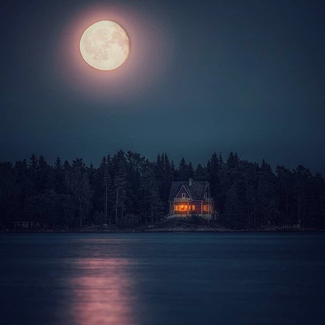 дом царит полный покой. дом это место где кругом царит полный покой. особняк фэнтези. фэнтези домик. дом это то место где.