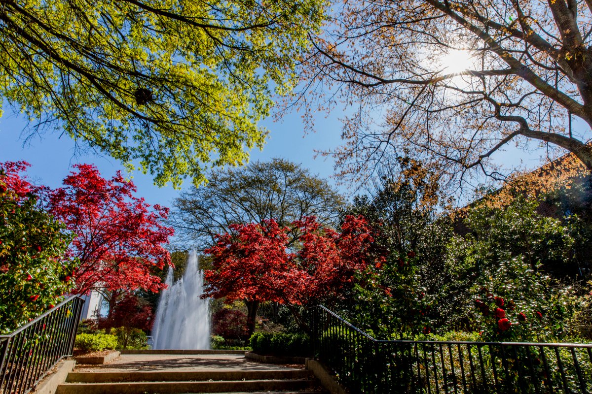 universityofga's tweet photo. It's a beautiful day in Athens, Georgia! https://t.co/aM5fN7nRLG