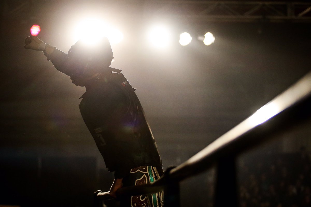 Alpha Bull ☠️ tweet media