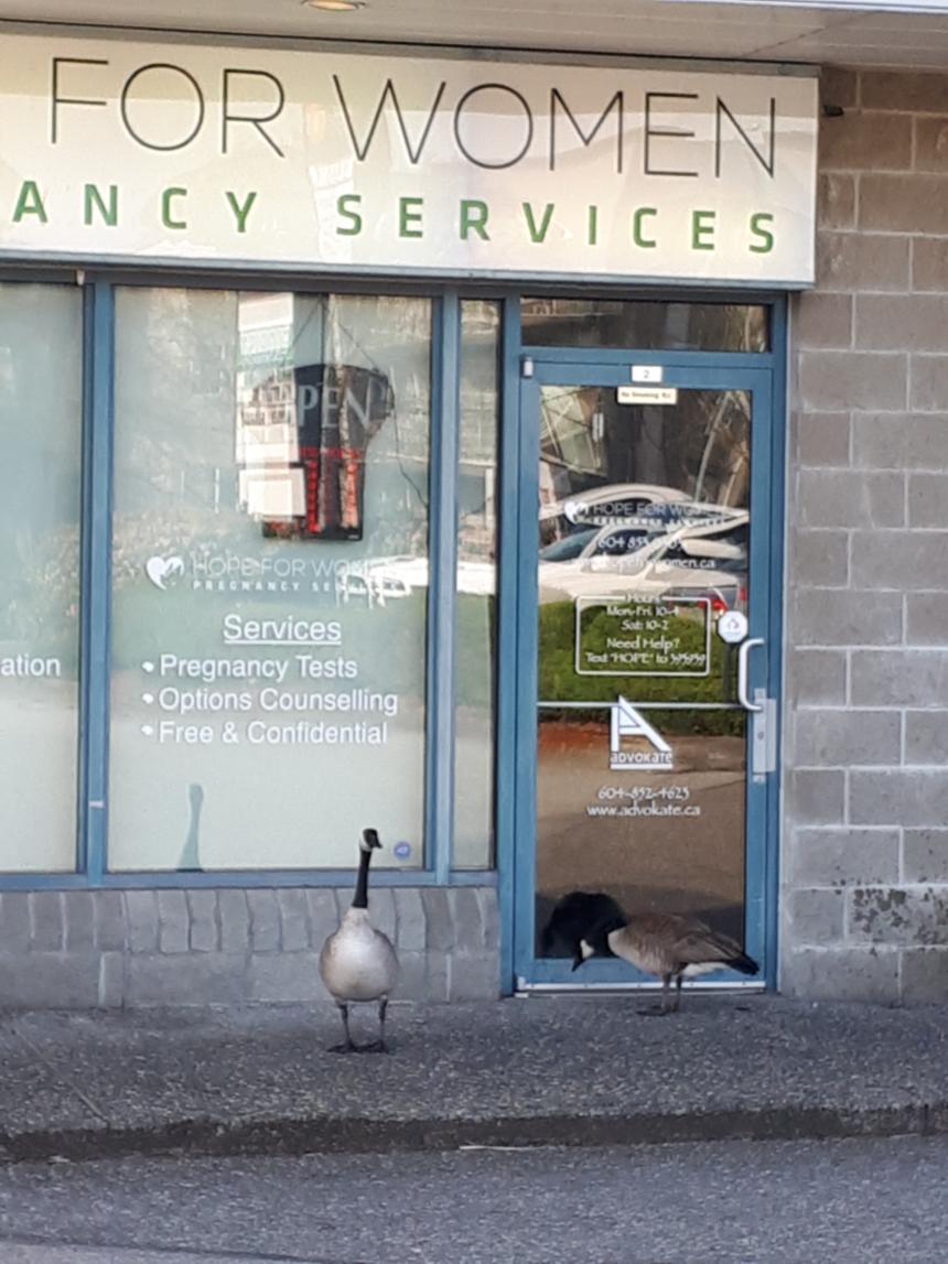 Just a couple of customers waiting for us to open! Brings an old saying to my mind:
"the early bird gets the worm"
