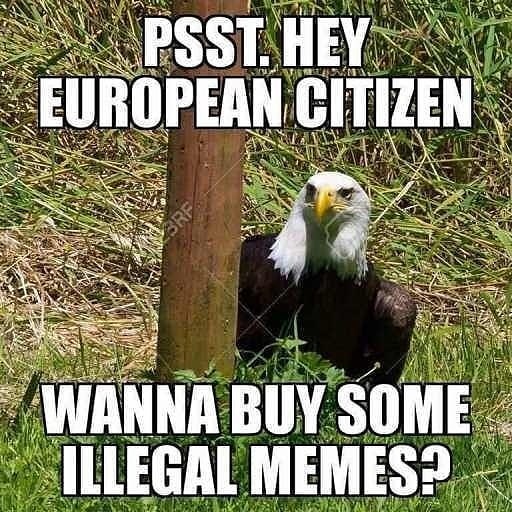 Axel Voss Fanpage tweet media