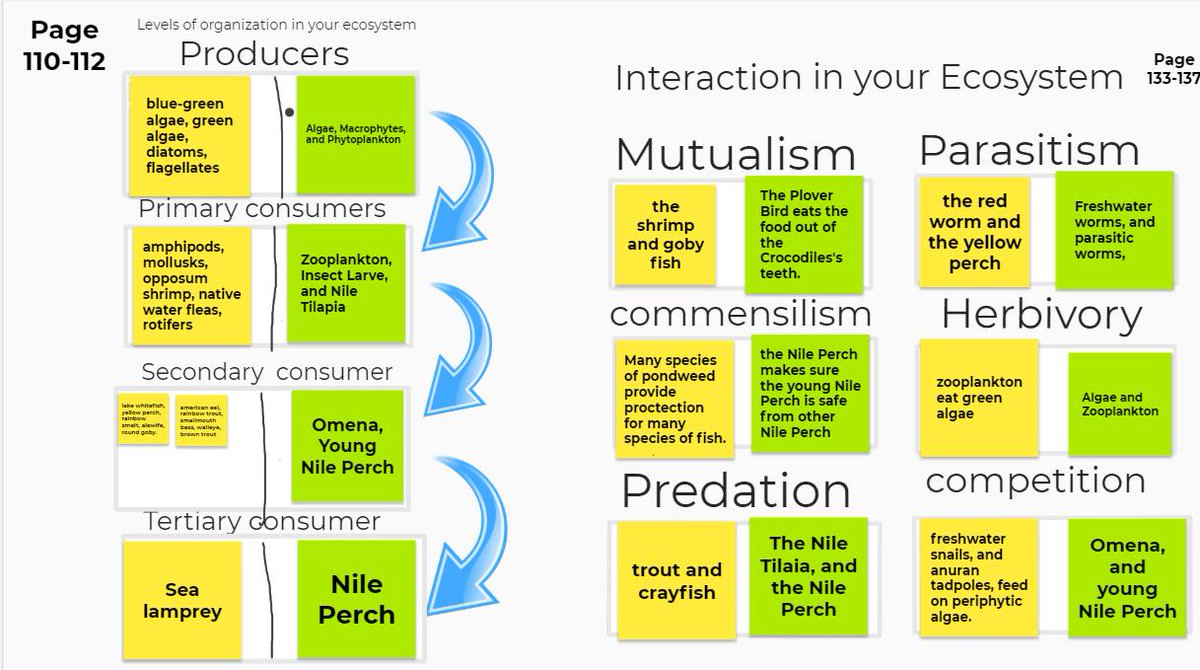 I love using the #Jamboard for #graphicorganizers. Helps the students to stay organized, create quality projects, and develop a deeper level of understanding! #winwinwin #Jamboardchallenge