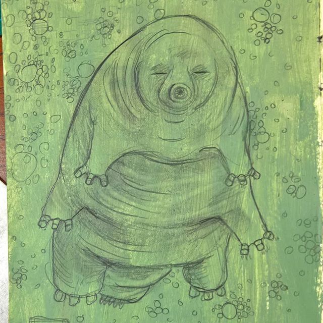 sethdraaws's tweet photo. #waterbear #tardigrade #microscopicanimals #sketchbook #art #arté https://t.co/5IH0Vz1Bc0 https://t.co/3DFHrQvXHa