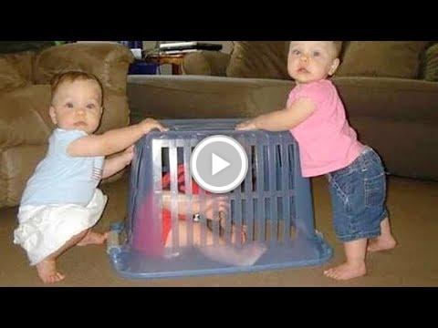 foranimallover's tweet photo. The LONGER you watch these KIDS &amp;amp; BABIES the FUNNIER they get! https://t.co/AbwXqWZZjL #staged https://t.co/s8n7GXjeqK