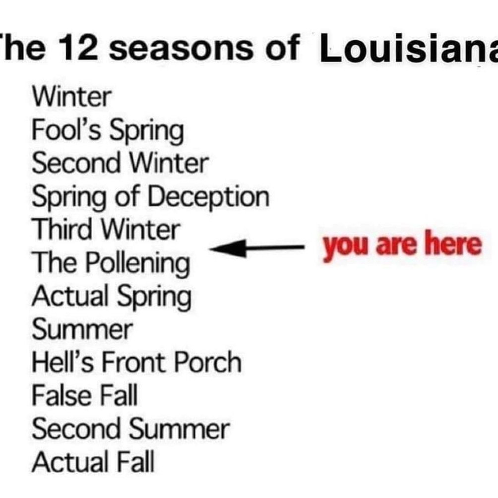 NOLAjewelry504's tweet image. I am dyin ova here!! The Pollening and Hells Front Porch 🤣🤣 #nola #neworleans #nolaweather #louisiana