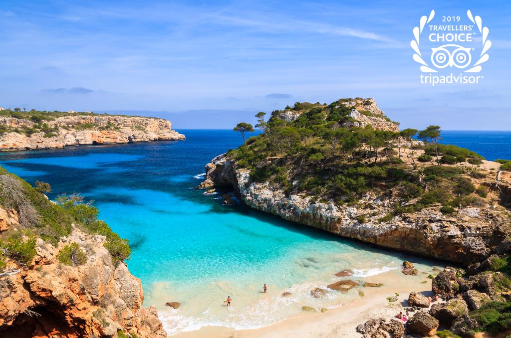TripadvisorES's tweet photo. Su preciosa catedral o sus maravillosas playas hacen que Mallorca repita como segundo destino favorito para visitar en España, según los Premios Travellers' Choice Destinos 2019. Además, se coloca en la novena posición dentro de Europa. ¡Enhorabuena, @TurismeBalears! https://t.co/K62xcsHYCQ