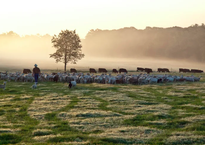 monthdayyear_'s tweet photo. Reading List: The next wave of Sustainable Fashion is all about Regenerative Farming (@Fashionista_com) https://t.co/D8p3c4fCbZ