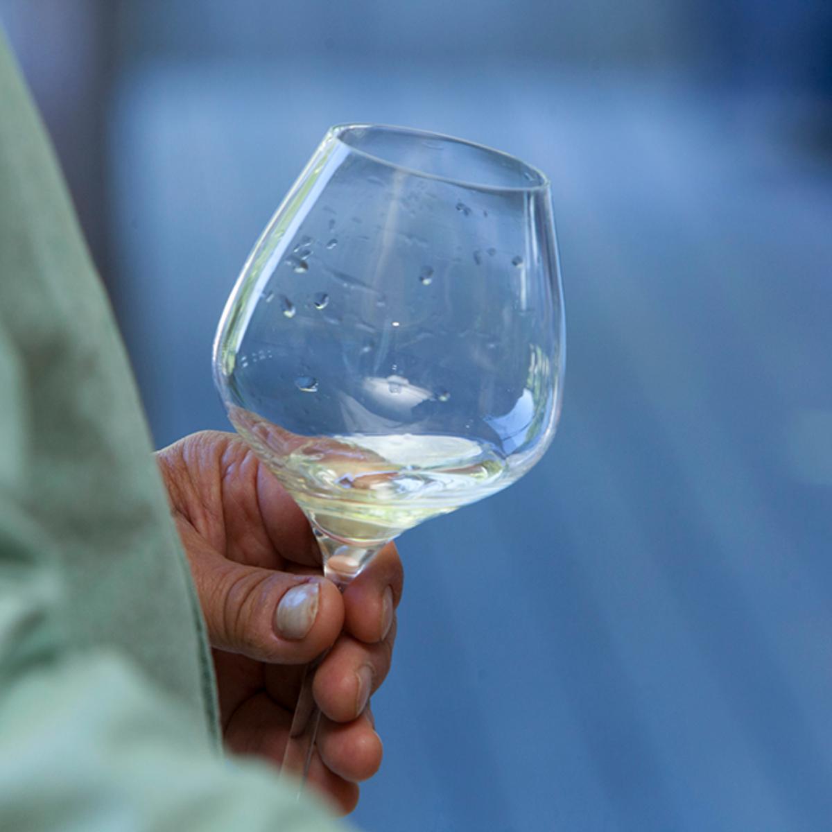 Halleck Vineyard tweet media