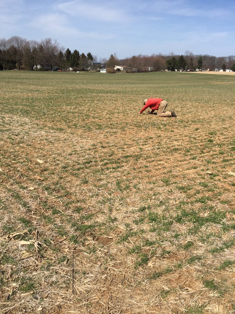 Derek Bowman tweet media