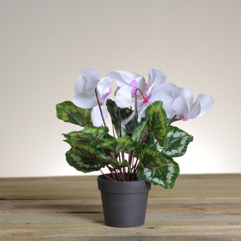 DavesXmas's tweet image. This spring, add some charm with home decor items like this. Stop by Dave’s to find your home decor - daveschristmas.com #springdecor #springdecorations #homedecor