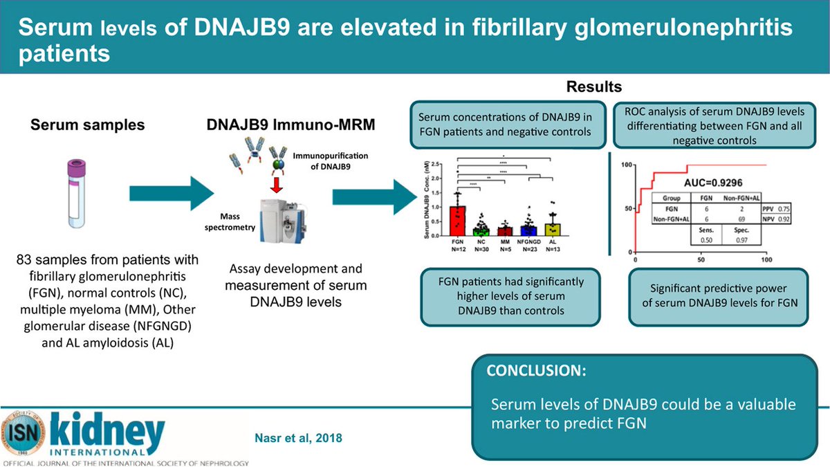 Kidney_Int's tweet photo. #GraphicalAbstract
https://t.co/P8DHBwrM9N
@MayoClinicPath @fervenzafernan1 #fibrillary #DNAJB9 https://t.co/GW2laiq4LT