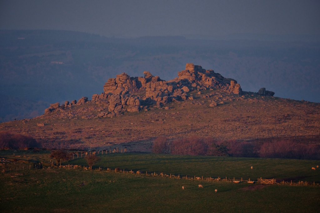 Pony and Houndtor at sunset... #dartmoor #devonlife