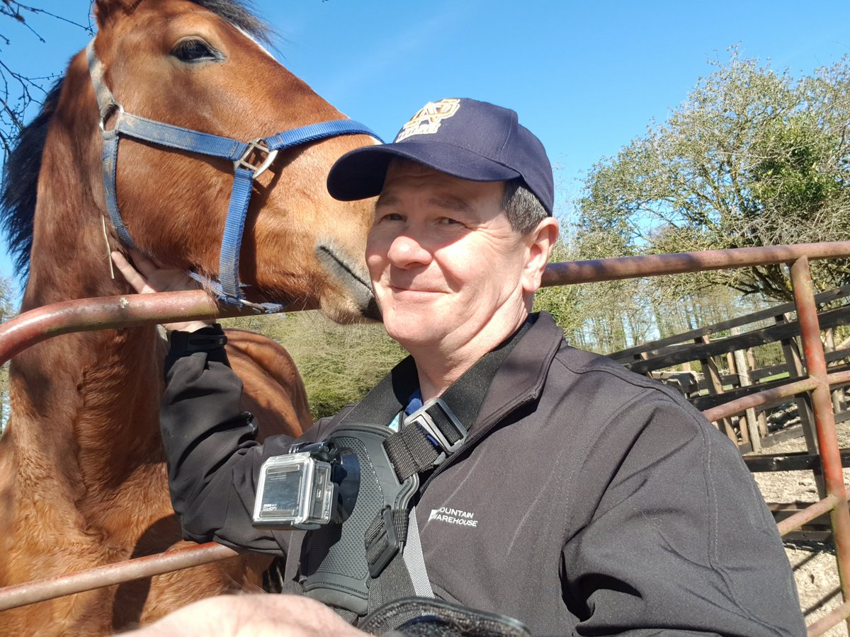 walthollick's tweet photo. First time I've had a horse whisper sweet nothings in my ear lol..... or should I say first time I've had sweet nothings  :) https://t.co/QHv1ZCJcKR