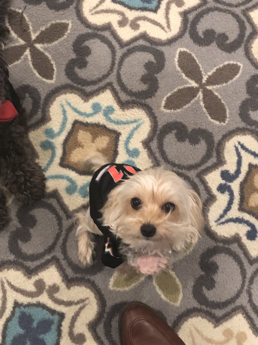 low_roberts's tweet photo. @Marlins Rory and Zoey ready for game day! Lets go Marlins beat the Rockies!!! https://t.co/v8DSREeRWV
