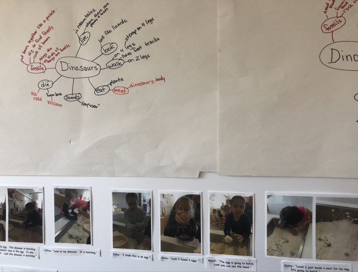 Connaughtcomets's tweet image. Kicking back to Prehistoric times in PreK. #experimentallearning #studentlead #learningweb #communityofexcellence