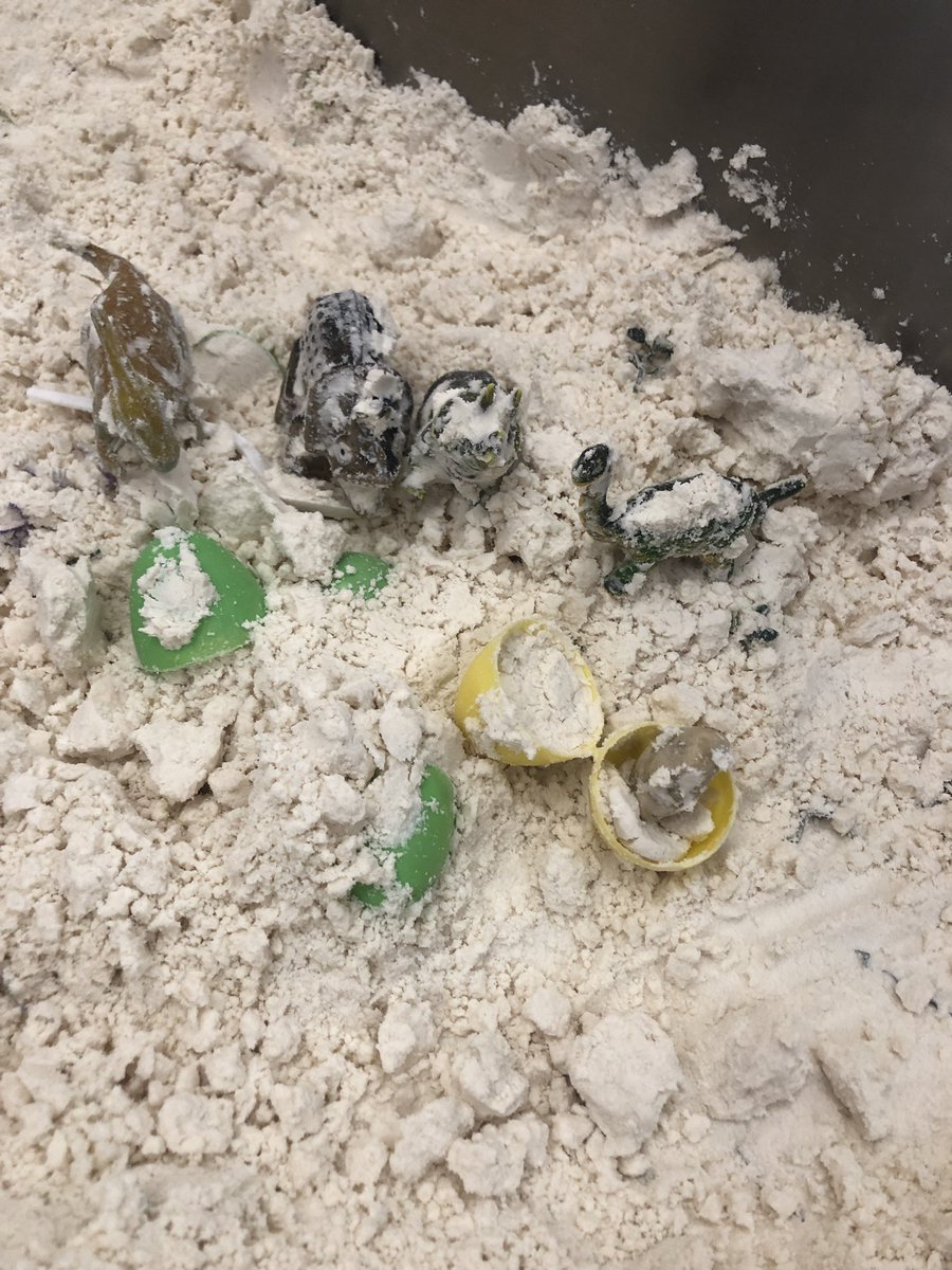 Connaughtcomets's tweet image. Kicking back to Prehistoric times in PreK. #experimentallearning #studentlead #learningweb #communityofexcellence