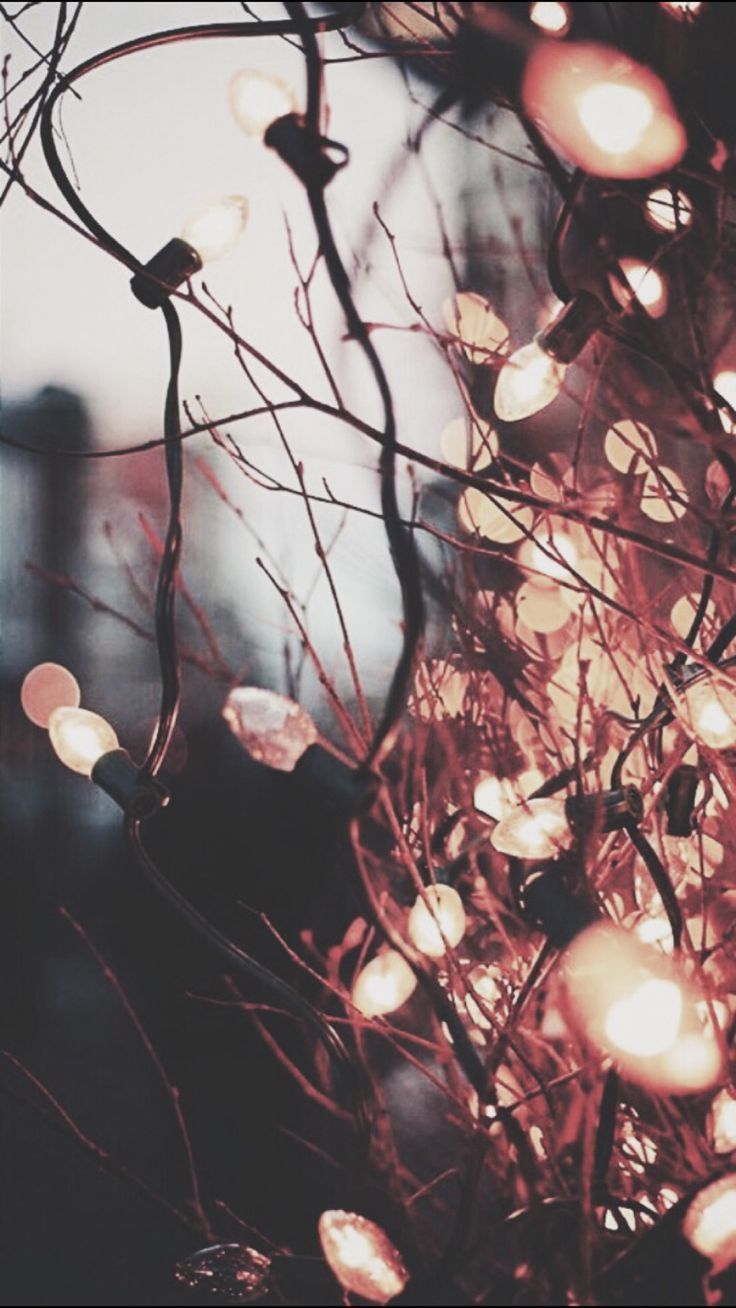 Freeimages24h on Twitter: Freeimages24h on Twitter: