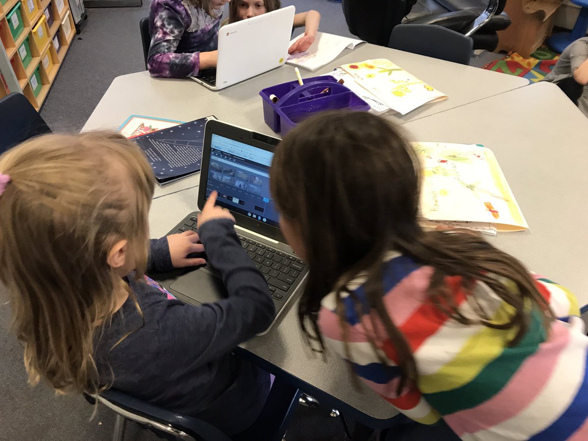 Williston Schools tweet media