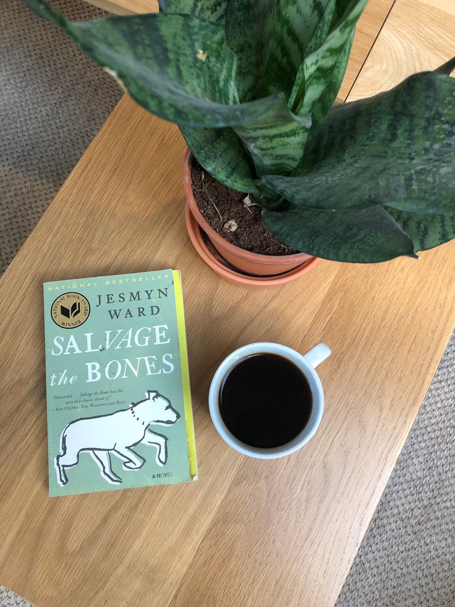 thecauldronbos's tweet photo. We’re so excited to announce that the next pick for #TheNightLibrary is Jesmyn Ward’s Salvage the Bones! We can’t wait to discuss this powerful text with you ✨🦇 The Night Library is the Cauldron’s feminist book club. We will share the link to sign up for our IRL meetup soon! https://t.co/mhVlkp3kPh