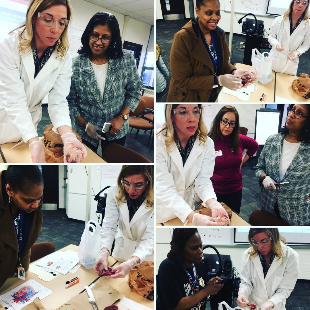 health_io_hands's tweet photo. NGSS -aligned curricular materials can support teachers in shifting their teaching practices to NGSS, and their ability to engage students in meaningful learning experiences to figure out phenomena. #msu #create4stem #NGPBL #ngss https://t.co/9M1plZqN7c