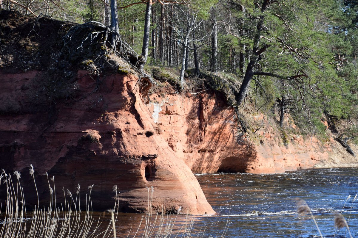 Gints_photo's tweet photo. Salacas Sarkanās klintis #salacassarkanāsklintis #march #photo #nature #photography #latvia #lv #latvijasskati #thisislatvia #landscape #latvianature #baltic #visitlatvia #ilovelatvia #visitbaltic #salacariver #salaca https://t.co/lGEHf9Tu38