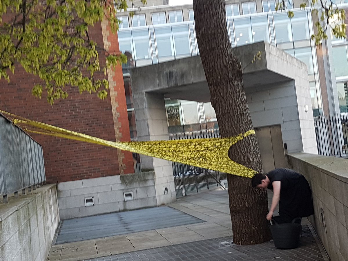 tcddublin's tweet photo. Breathtaking solo performance by artist in residence @tcdengineering Olivia Hassett beside the Oregon Maple, a descendant of the fallen maples, outside the Parsons Building at #TrinityTrees Team 'embrittled | resilient' launch https://t.co/y8tThiQVfm