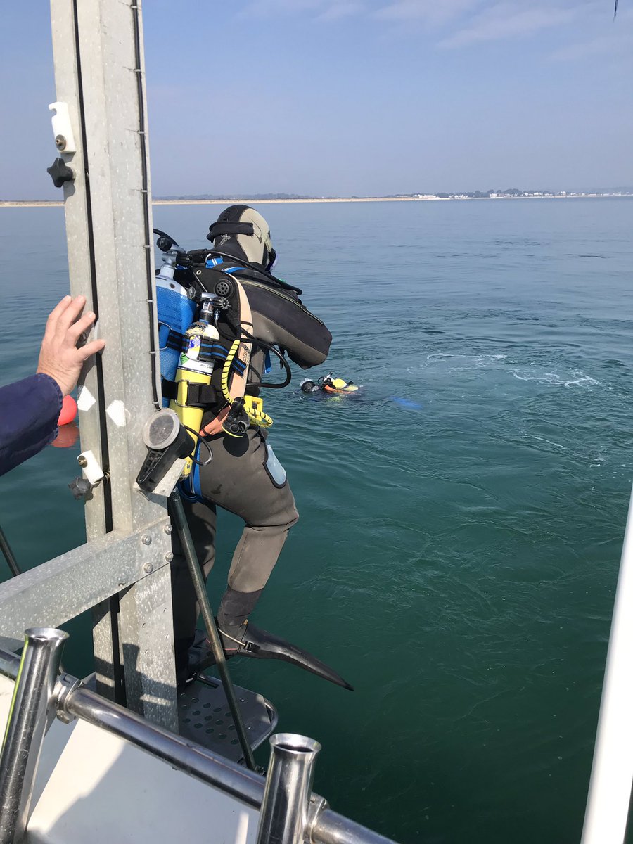 Dr Alice Hall tweet media