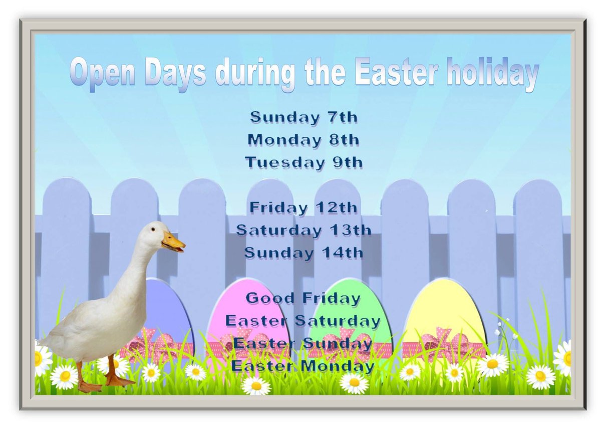 MillersArk's tweet photo. EASTER HOLIDAY OPEN DAY DATES ANNOUNCED 😀

🐣🐣🐣🐣🐣🐣🐣🐣
#millersarkanimals #millersark #millersarkfarm #easter #farm #visitafarm #hampshire #family #smallbusiness @daysoutuk @HantsTopDaysOut @VIPMums @VisitHampshire @CountryClassrm @FboroughFinding @alltalresford https://t.co/4EQYWNYLyC