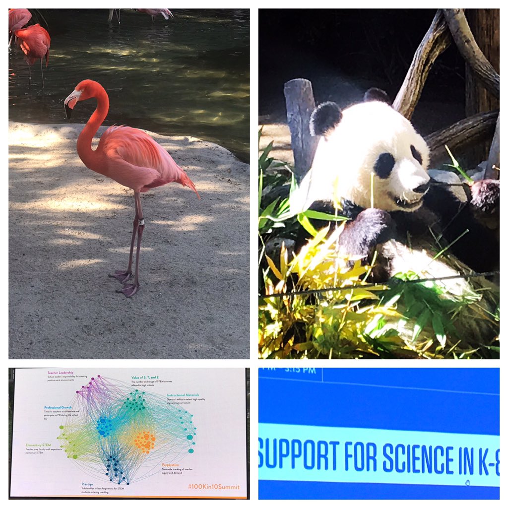 JulietteScience's tweet photo. Had an amazing time as a #TeacherForum member at the @100Kin10 Summit at the @sandiegozoo this week! #100kin10 #100Kin10Summit #100Kin10PartnerSummit #STEMed #SciEd @STEMteachersNYC https://t.co/QrZHPmL9wA