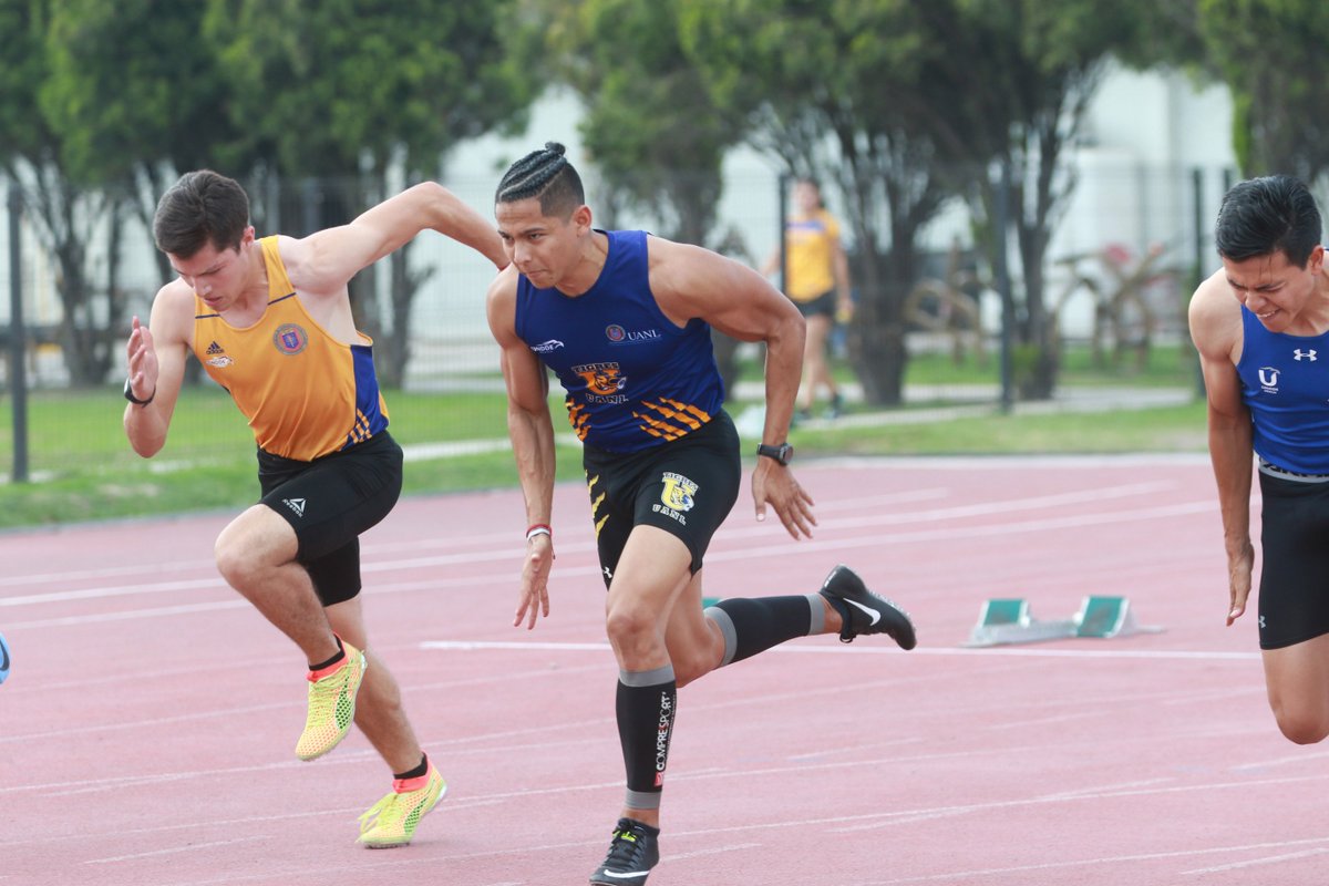 Juan Carlos Alanís, Edgar Ramírez Ríos, Manuel Alvarado, Estefany Paredes, Sonia Bazaldúa, Brenda Samaniego y Alejandro Nicolás García harán vibrar al público en la Universiada Nacional 2019.

bit.ly/2UXtrnE

#SomosUNI
#atletismo
#GarraTigre