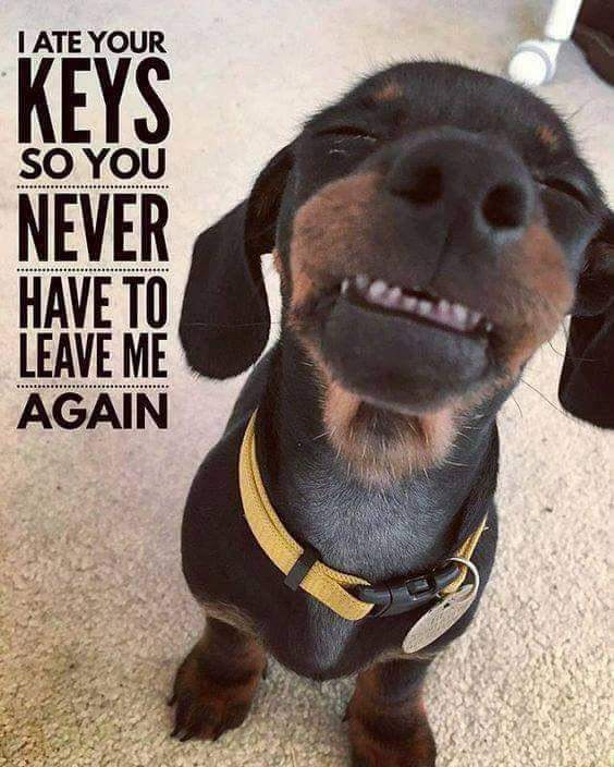 HectorG515's tweet photo. Ouch! Don't wait! We can make you brand new keys. https://t.co/55JIl10Fky