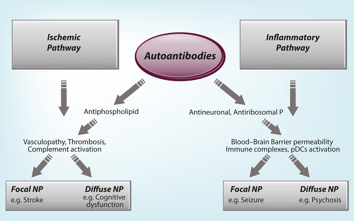 free immunobiology and prophylaxis of human