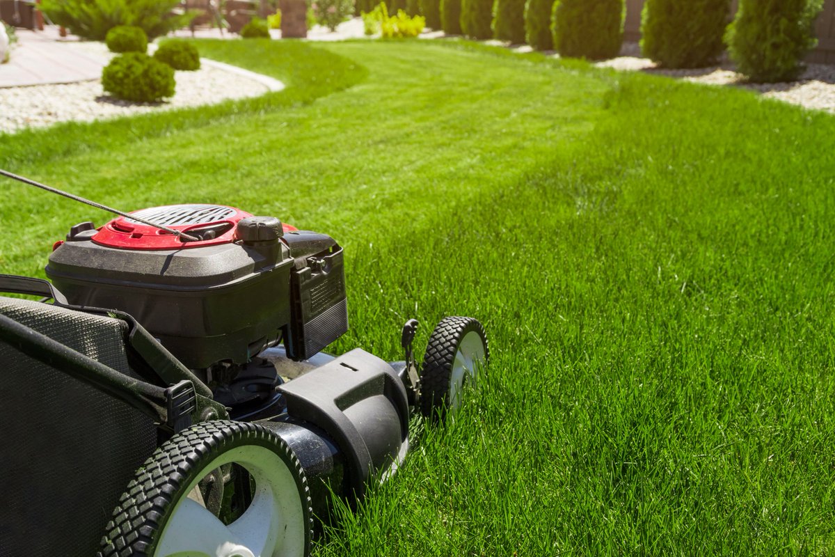 TrueValue's tweet photo. An unsharpened mower blade will tug rather than cut clean. Save time and don’t damage your grass with equipment that’s not ready for the season. RT if this is a lawn care tip you go by. #TrueValueTips
Shop lawn mowers: https://t.co/FIVFdBYyfT https://t.co/fRlDZukJtG