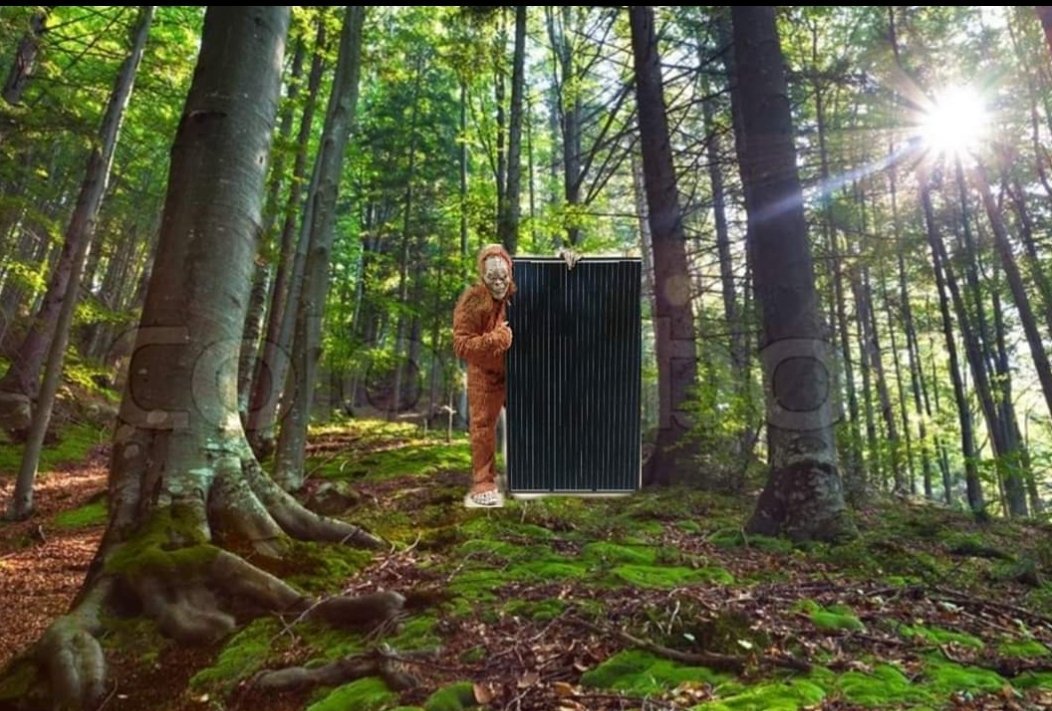 gosolarwclint's tweet photo. Bigfoot has been spotted in the local woods preparing for the #CarrollCounty #HomeShow this weekend. Rumor is he will be making his way by foot through Westminster tomorrow. If you see him take a picture and share it with #BigfootLovesSolar #vivintsolar #gosolarwithclint https://t.co/luEhPxVeFC