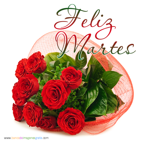 trebianstudio's tweet photo. #FelizMartes https://t.co/Hcsp7hDmoa