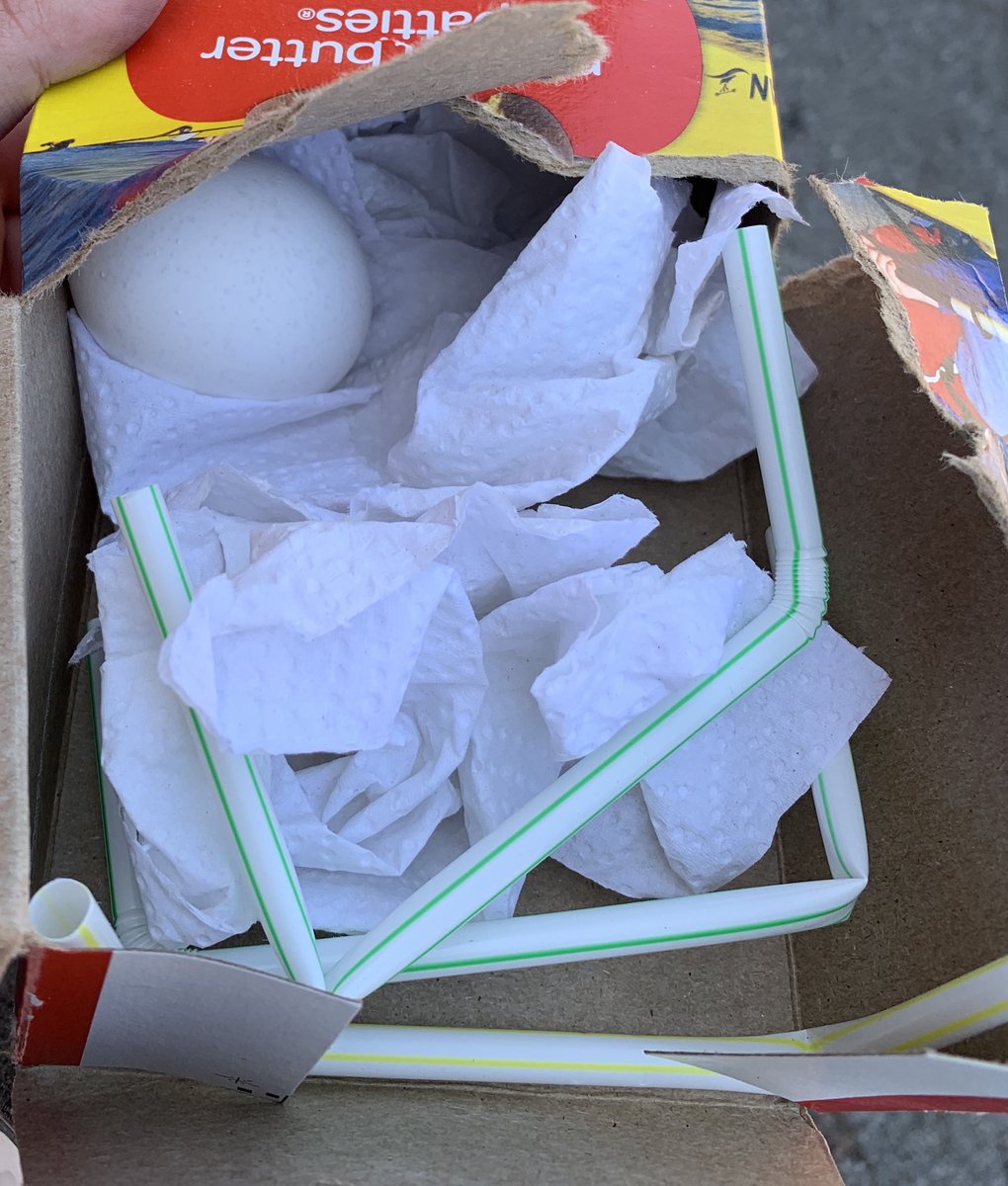 MissHolt95's tweet photo. Students brought in blueprints, designed, and tested Egg Drop Devices this week in Science to showcase their knowledge on Force/Motion! #PrideAndTradition https://t.co/MZuJg2jgJR