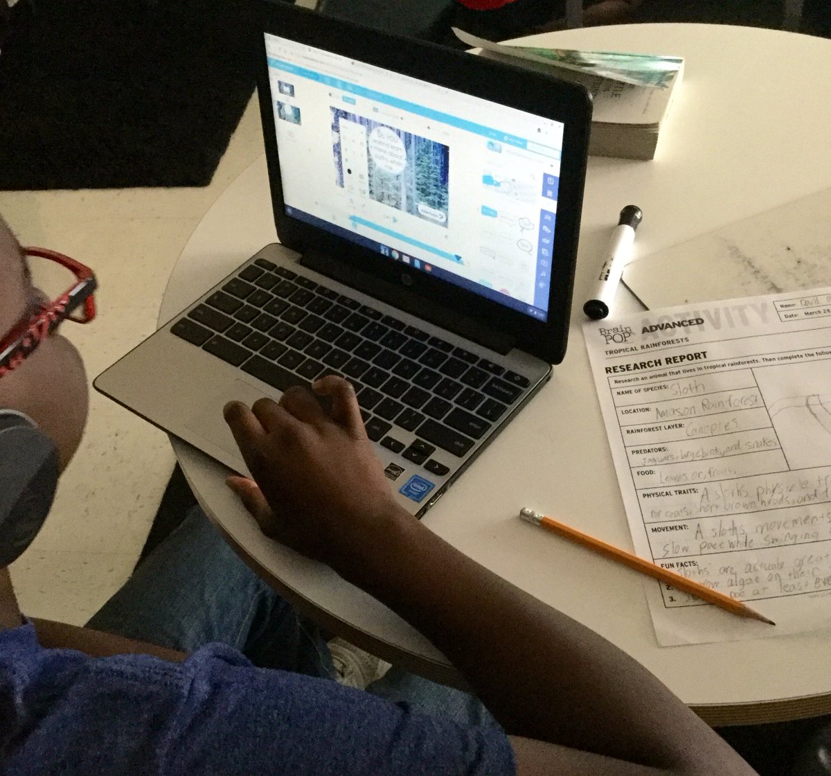 DawnZamoraSTEM's tweet photo. Ss prep for Friday’s global connection w/explorer from Panama’s rainforest canopy by building up scheme researching & creating presentations using @padlet @Powtoon @brainpop & more. #exploreClassroom @NatGeoEducation @EBTSOYP @NISDElemScience #TheColeWay https://t.co/7HKLzPgPB2