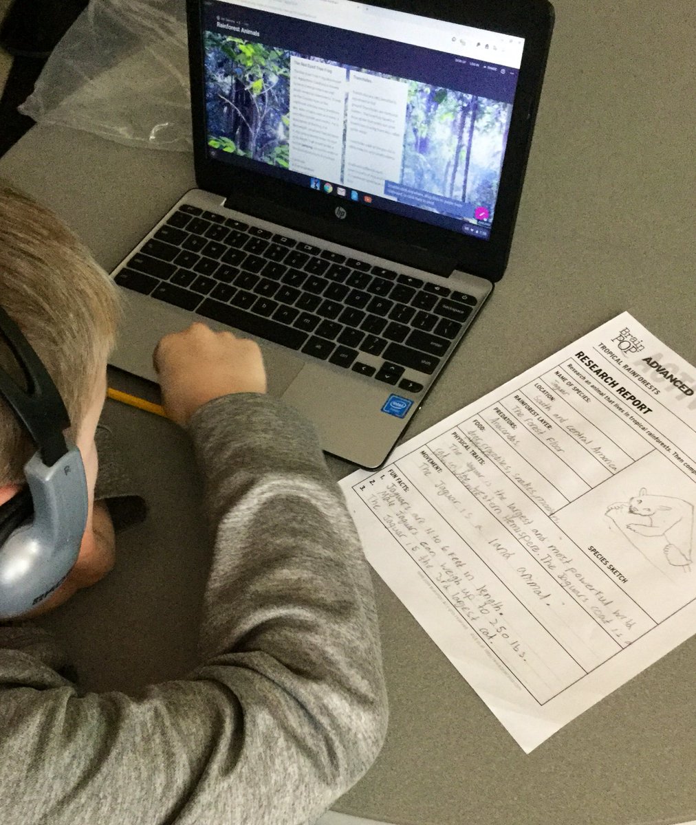 DawnZamoraSTEM's tweet photo. Ss prep for Friday’s global connection w/explorer from Panama’s rainforest canopy by building up scheme researching & creating presentations using @padlet @Powtoon @brainpop & more. #exploreClassroom @NatGeoEducation @EBTSOYP @NISDElemScience #TheColeWay https://t.co/7HKLzPgPB2