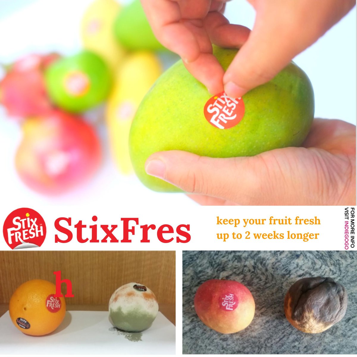 Today's Gadget - StixFresh
Stickers that keep your fruit FRESH.
Easy to use, all-natural StixFresh keep your fruit fresh up to 2 weeks longer.

#cloud8 #cloud #storage #nas #simple #followback #photooftheday #20likes #amazing #like4like  #crowdfunding #kickstarter #stixfree