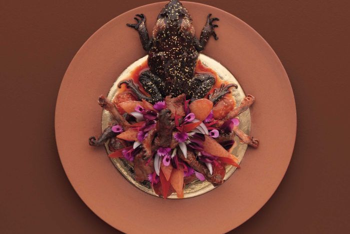 RadioNational's tweet image. Anyone for sweet and sour cane toad legs, fried grasshoppers or fox tikka masala? 

@monamuseum curator Kirsha Kaechele reimagines invasive species in a surreal cookbook and art exhibition ab.co/2WuF99z @LNLonRN
